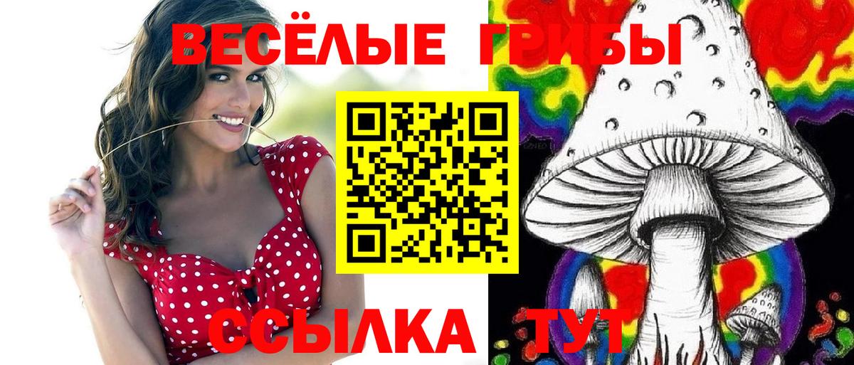 Галлюциногенные грибы мухоморы Краснокамск