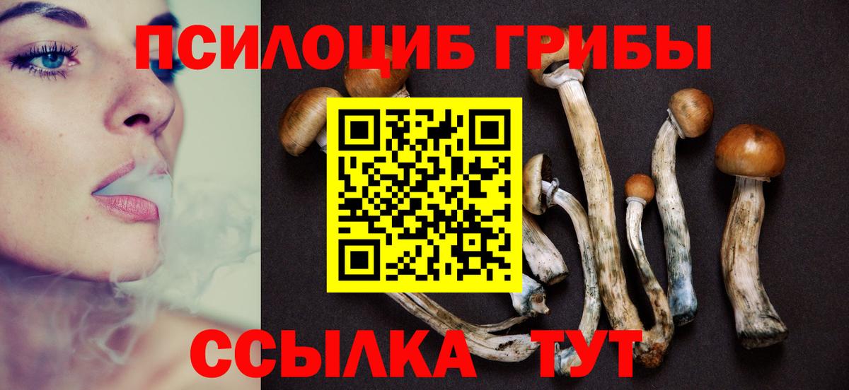 Галлюциногенные грибы Psilocybe  Псилоцибиновые грибы MAGIC MUSHROOMS  Краснокамск  Вход с VPN 
